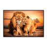 Quadro Decorativo Leão Natureza com Moldura Caixa de 3cm , Ideal para Sala de Estar e Quadros - 2
