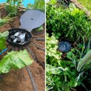 Ver imagem 2 de Aquabox Spyder Cultivo Autoirrigavel Autopot Aquabox/2
