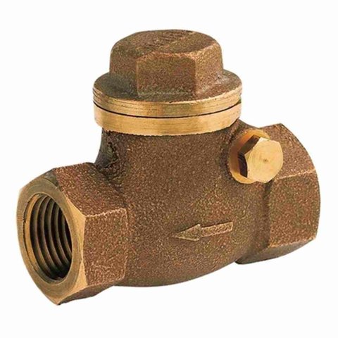 Válvula de Retenção Horizontal 1" Bruto Docol