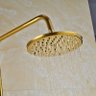Chuveiro Ducha Misturador Vintage Retrô Dourado Ouro Q/F - 7
