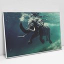 Ver imagem 1 de Quadro Decorativo em Canvas Elefante Sobre as Águas - Moldura Branca - 90 x 60cm
