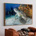 Ver imagem 1 de Quadro Decorativo Tartaruga  em Moldura Caixa TaColado Moldura Trad 1cm Madeira Escura sem Vidro 30 