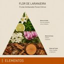 Ver imagem 6 de Refil de Sabonete Líquido Flor de Laranjeira Elementos Floral Cítrico 500ml L'Envie Kit 6
