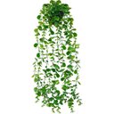 Ver imagem 1 de Arranjo Completo Folhagem de Eucalipto Pendente Verde com Vaso