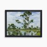 Quadro Decorativo Espelho D'Água Pantanal | Moldura Preta:63x43 - 1