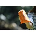 Ver mais imagens de Manta Multifuncional Lona Impermeável Esteira de Camping:amarelo