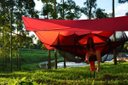 Ver imagem 2 de Mosquiteiro para Rede Camping Hamaca Portátil Portable Style:vermelho