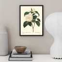 Ver imagem 1 de Quadro Botânica Flor Camélia 45x34cm - com Vidro:moldura Preta