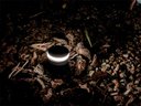 Ver imagem 3 de Balizador de Solo Preto Led Taschibra Edge Redondo 1w 3000k - Preto - Luz Quente 3000k