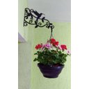 Ver imagem 1 de Mão Francesa para pendurar vasos e plantas tema Beija-Flor