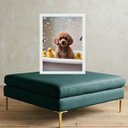 Ver imagem 2 de Quadro Divertido para Banheiro - Poodle 45x34cm:moldura Branca