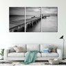 Quadro Decorativo Preto E Branco Passarela De Madeira - 2