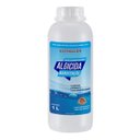 Ver imagem 1 de Algicida Manutenção Liquido para Piscinas 1l Ultraclor