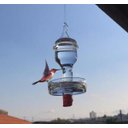 Ver imagem 1 de Bebedouro de vidro com prato pequeno para beija flor e pássaros