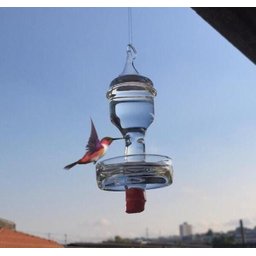 Bebedouro de vidro com prato pequeno para beija flor e pássaros - 1
