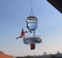 Ver imagem 1 de Bebedouro de vidro com prato pequeno para beija flor e pássaros