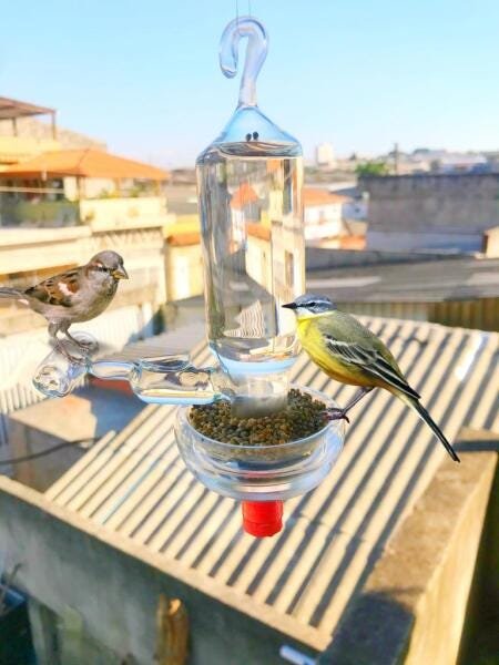 Bebedouro e comedouro de vidro para pássaros ar livre - 2