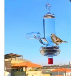 Bebedouro e comedouro de vidro para pássaros ar livre - 1