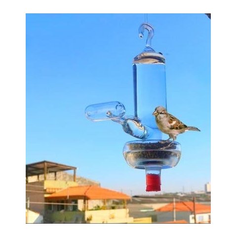 Bebedouro e comedouro de vidro para pássaros ar livre