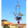 Bebedouro e comedouro de vidro para pássaros ar livre - 1