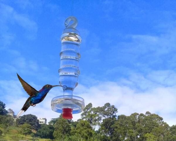 Bebedouro de vidro grande americano com prato para beija flor e pássaros ar livre - 2