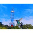 Ver imagem 1 de Bebedouro de vidro grande americano com prato para beija flor e pássaros ar livre