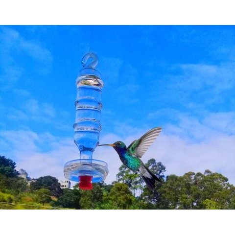 Bebedouro de vidro grande americano com prato para beija flor e pássaros ar livre
