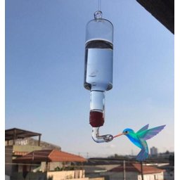Bebedouro de Vidro Pequeno com Bico de Vidro para Beija Flor e Pássaros Ar Livre - 1