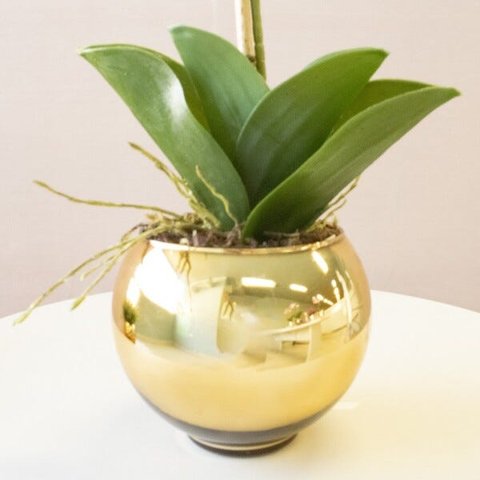 Vaso de Flores Dourado Redondo 13 cm | Linha Vasos Decorativos Formosinha