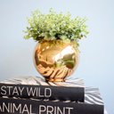 Ver imagem 3 de Arranjo de Folhagem Artificial no Vaso Dourado Pequeno|Linha Permanente Formosinha