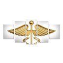 Ver imagem 1 de quadros 5 peças decorativos contabilidade caduceu simbolo