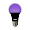 Lâmpada LED Luz Negra E27 7W Bulbo TKL Taschibra - 1