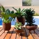 Ver imagem 1 de Kit 4 Vasos Plantas e Decoração Tripé de Madeira Marrom