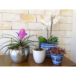 Cachepot Decorativo de Porcelana Azul e Branca Pintado a Mão Pequeno - 4