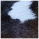 Ver imagem 5 de Tapete Couro Legitimo de Nonato