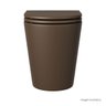 Bacia Convencional Marrom Fosco Deca Cod: P.23.22 - 2