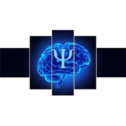 QUADROS DECORATIVOS 5 PEÇAS PSICOLOGIA CEREBRO SIMBOLO - 1