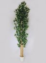 Ver imagem 1 de Planta Árvore Artificial Real Toque Bambu 2,18M