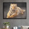 Quadro Decorativo Tigre Deitado-34x49Cm - 1