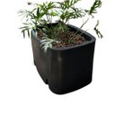 Ver imagem 4 de Vaso Planta 100x60 Jardineira Floreira Polietileno