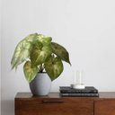 Ver imagem 5 de Kit 18 Buquês Caladium Artificial Realista para Decoração de Interiores Permanente e Vasos 30x30