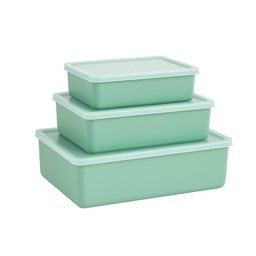 Kit Jogo 3 Potes Recipientes Multiuso com Tampa Translucida Marmita P M G Lanche Fitness Verde - 3