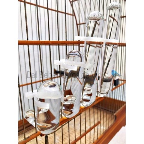 Bebedouro de Vidro para Pássaros Malha Fina e Malha Larga Kit 10 Uni