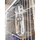 Ver imagem 1 de 05 Bebedouros de Vidro para Calopsita, Maritacas, Periquito