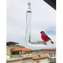 Ver imagem 2 de Bebedouro de vidro para pássaros ar livre jardim enganchado kit 3 unidades