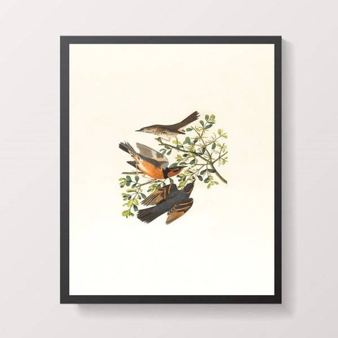 Quadro Passarinhos 33x24cm - com vidro:Madeira branca