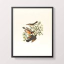 Ver imagem 1 de Quadro Passarinhos 33x24cm - com vidro:Madeira branca