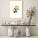 Ver imagem 2 de Quadro Passarinhos 33x24cm - com vidro:Madeira branca
