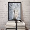 Quadro Decorativo Fotografia Pavão Branco 33x24cm - com Vidro:madeira Branca - 1