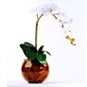Arranjo de Orquídea Branca Toque Real em Aquário Ambar - 1